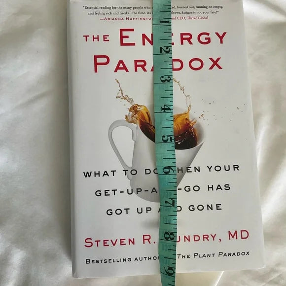 Energy Paradox Book