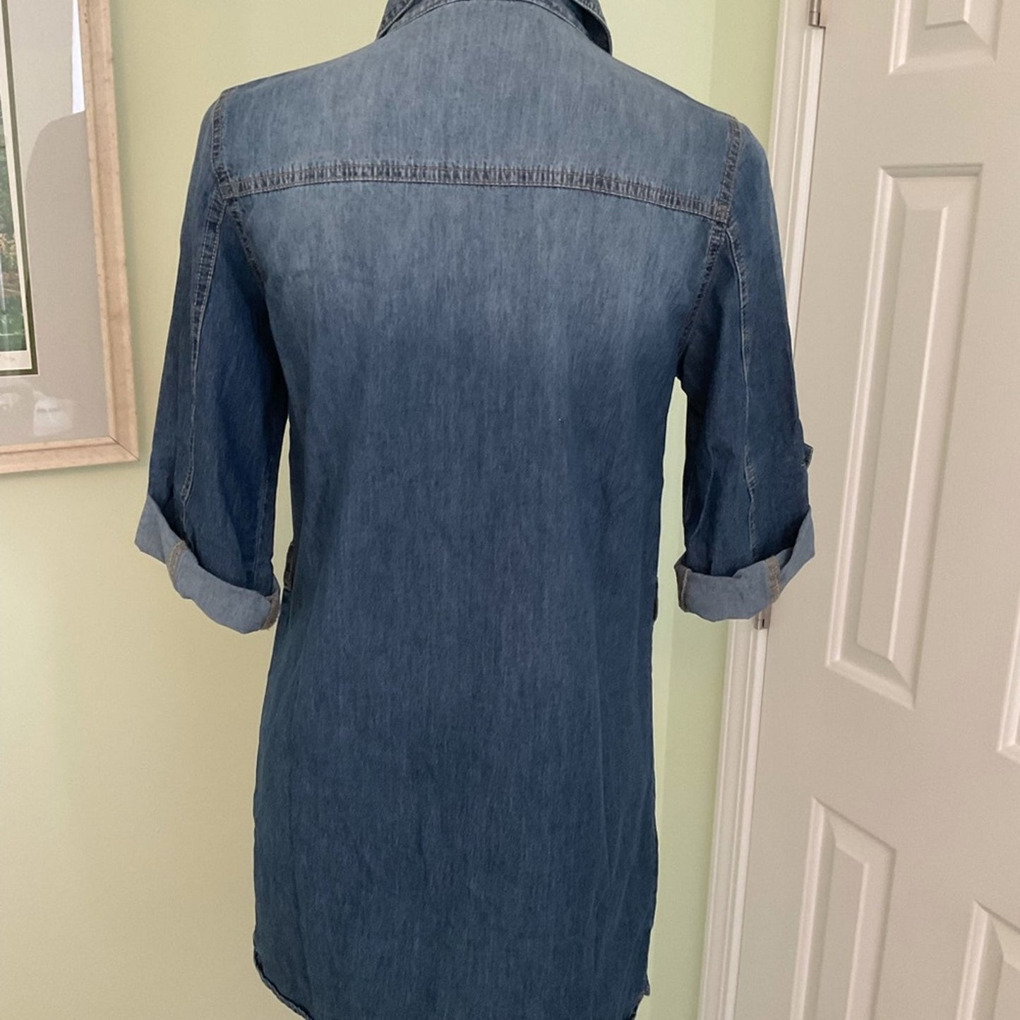 Wall Flower Denim Dress/Tunic