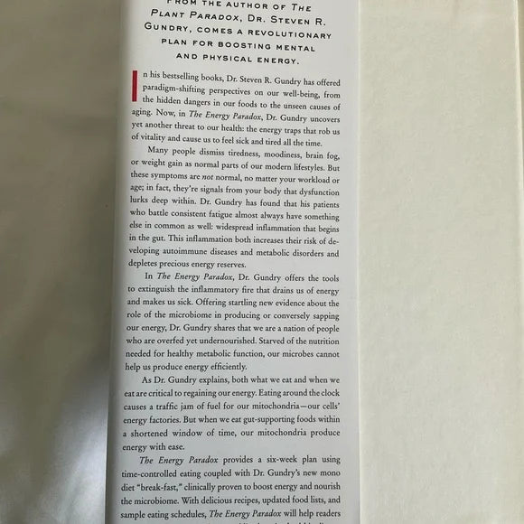 Energy Paradox Book