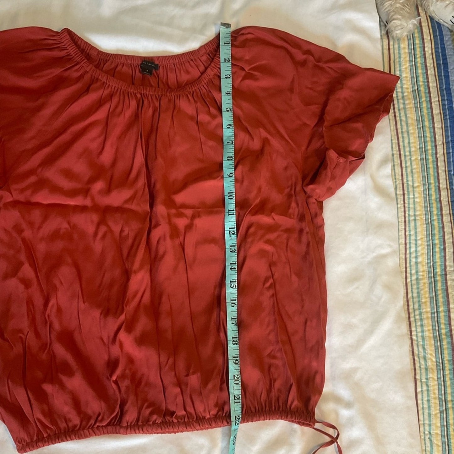 Ann Taylor top