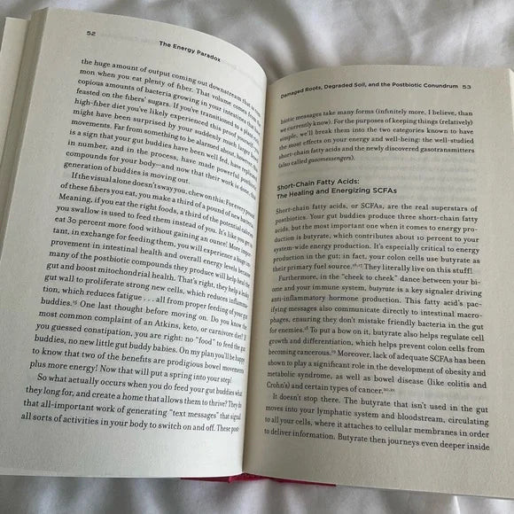 Energy Paradox Book