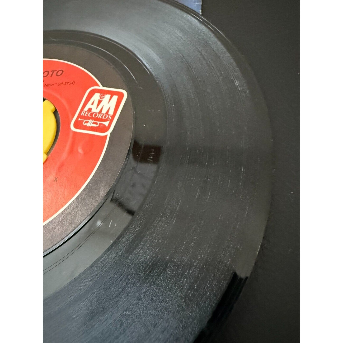 Styx "Mr. Roboto" "Snowblind" 45 1983 A&M Picture Sleeve