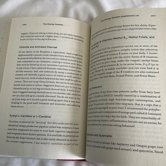 Energy Paradox Book