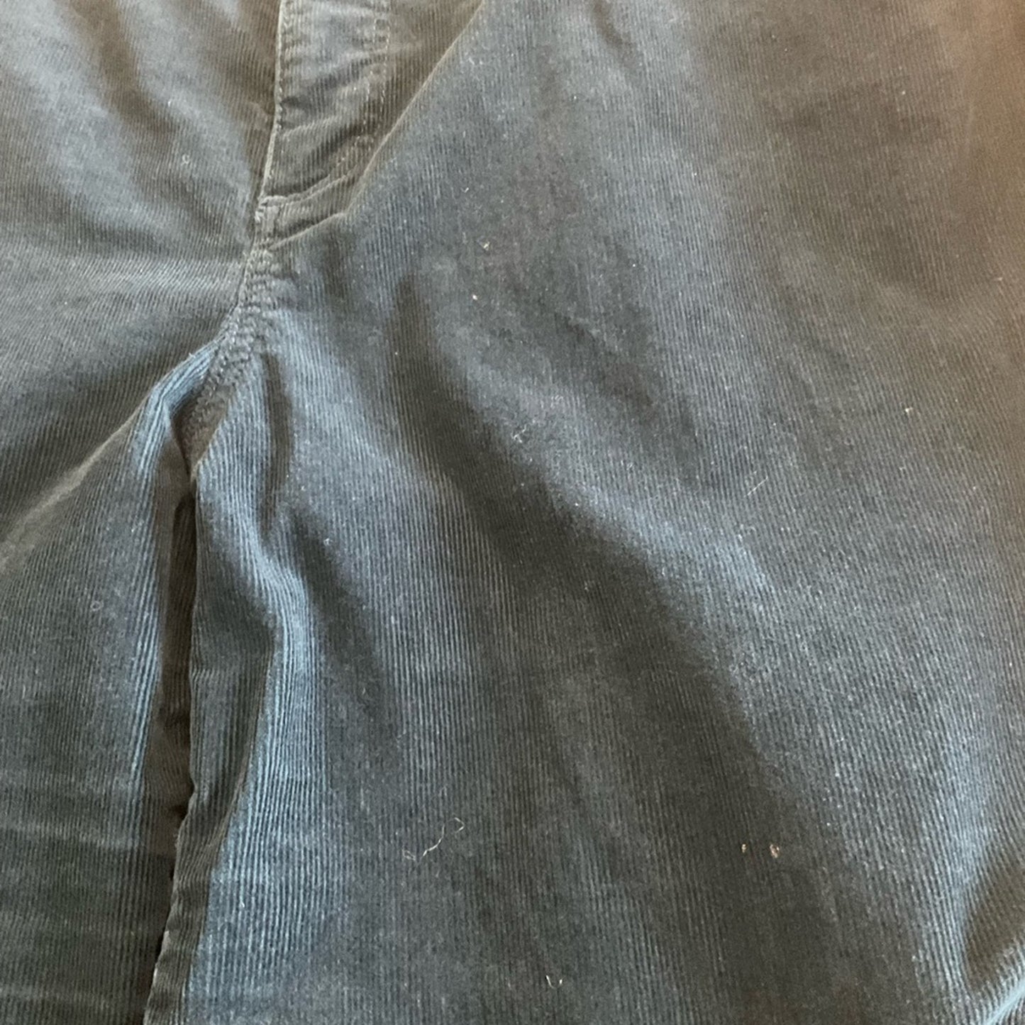 Talbots Woman Curvy Corduroy pants
