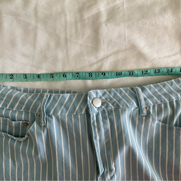 Baccini Pants