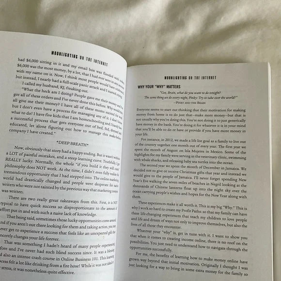 Moonlighting on the Internet by Shelby Larson. This is a paperback book.