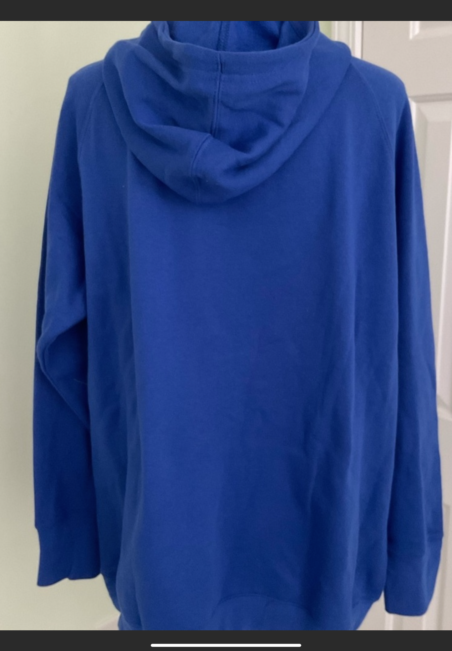 Champion Hooded Pullover