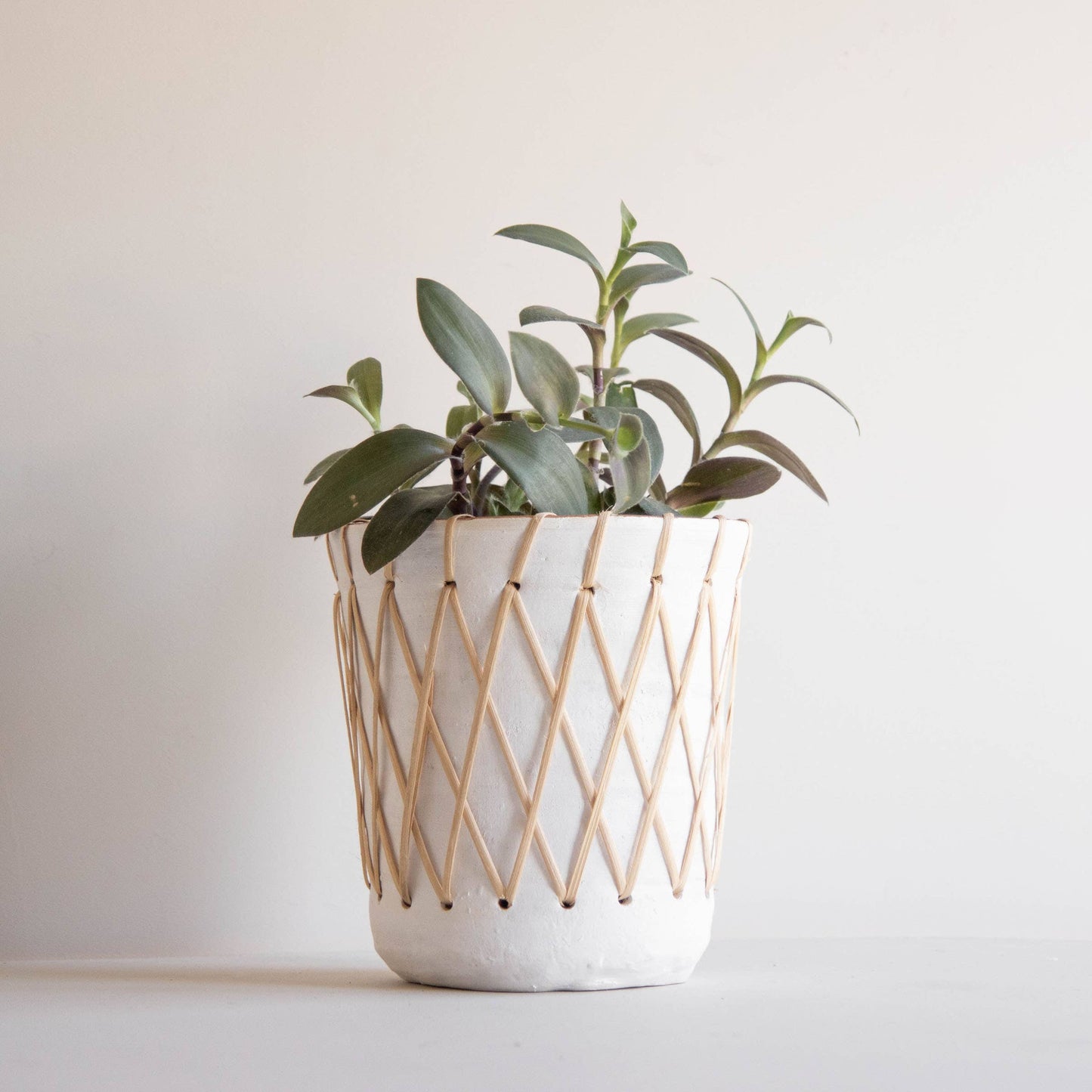 Foreside Home & Garden - Rattan Woven Planter Large