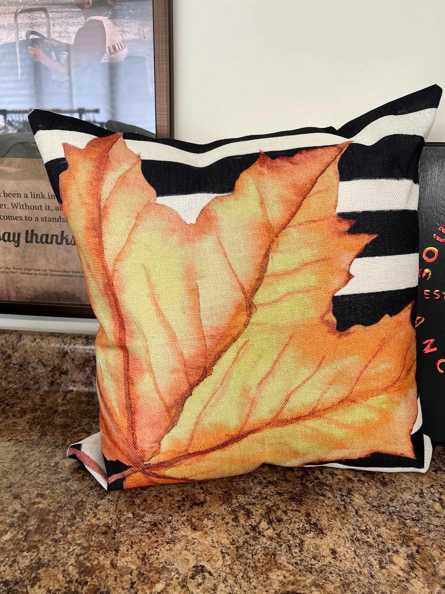 Fall pillows