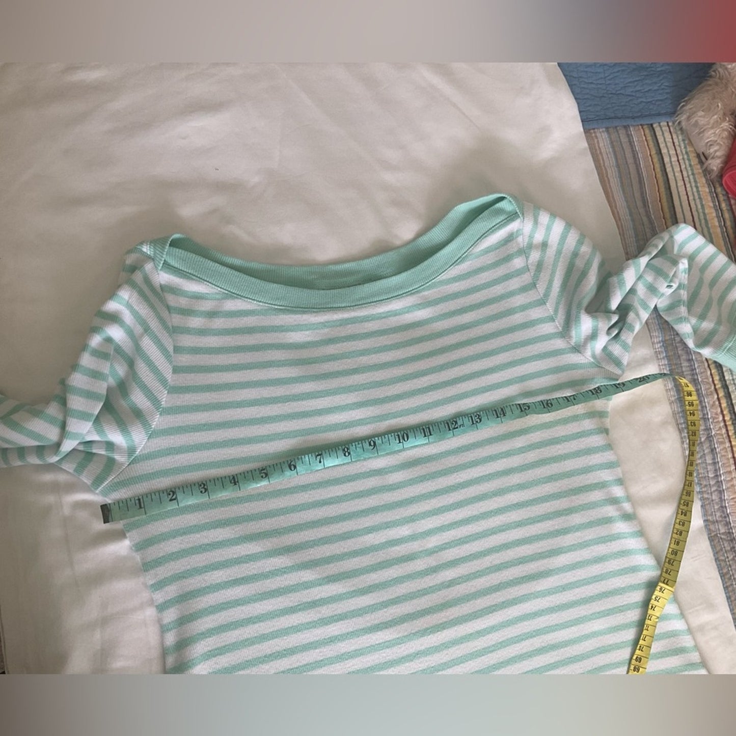Crown & Ivy Mint Green Striped Top