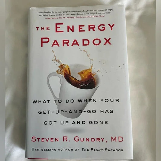 Energy Paradox Book