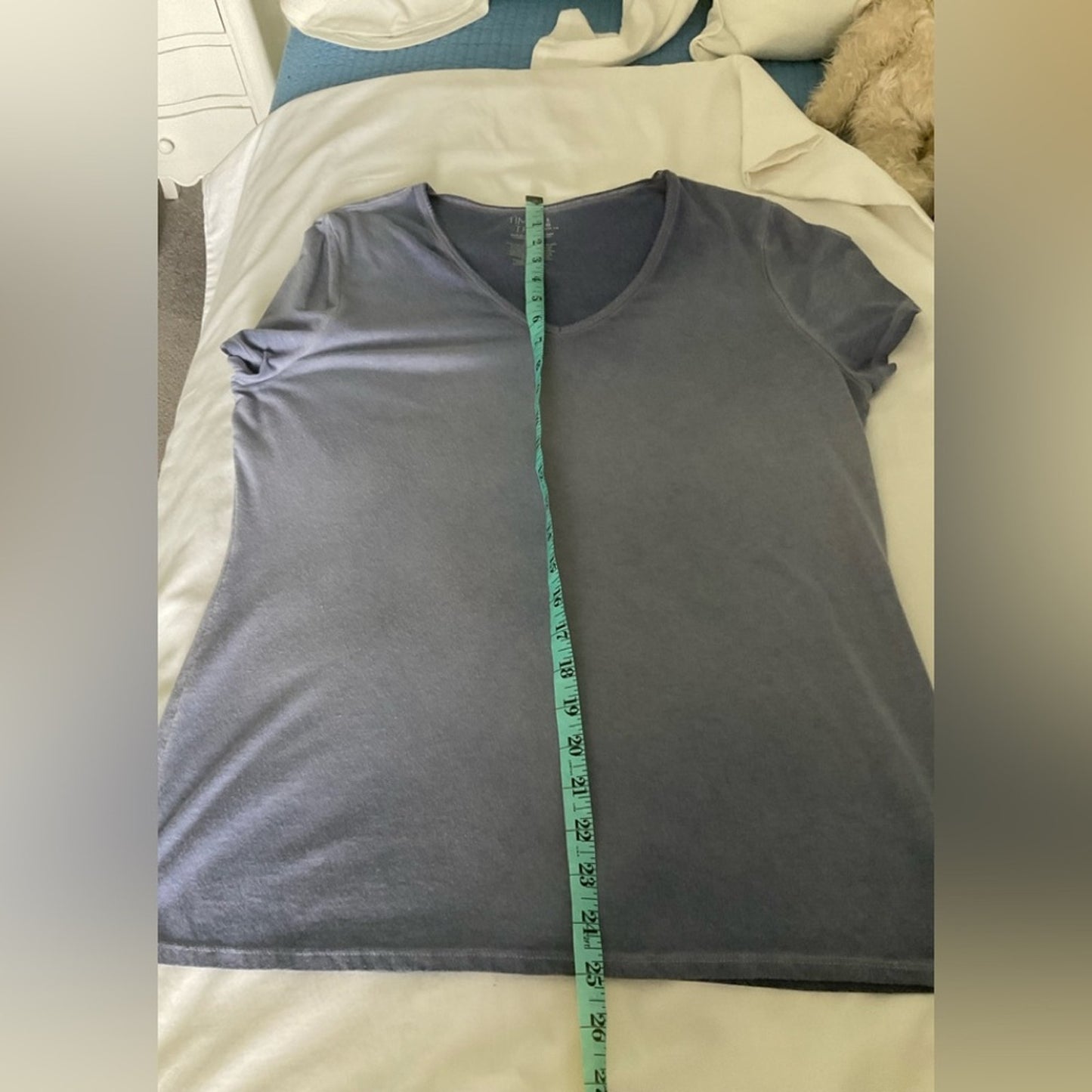 Time and Tru Soft Blue Short Sleeve Tee