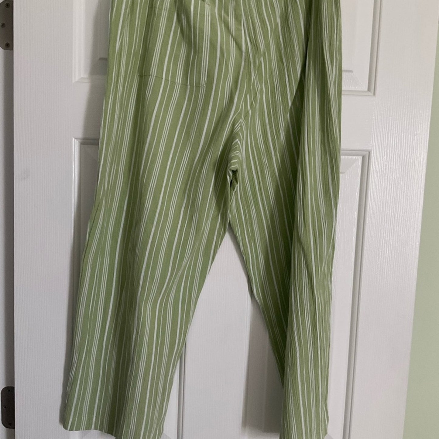 Chicos pants - Green and White Striped