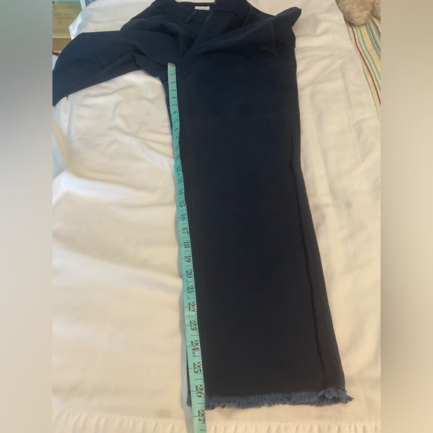LOFT Blue Chino pants