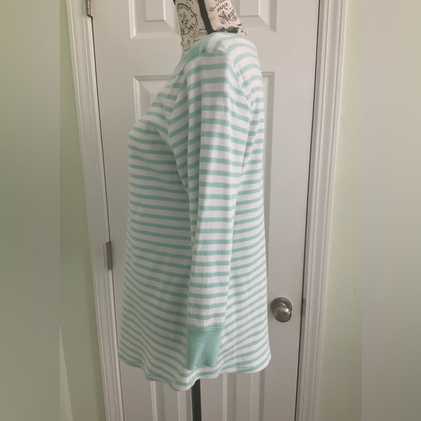 Crown & Ivy Mint Green Striped Top
