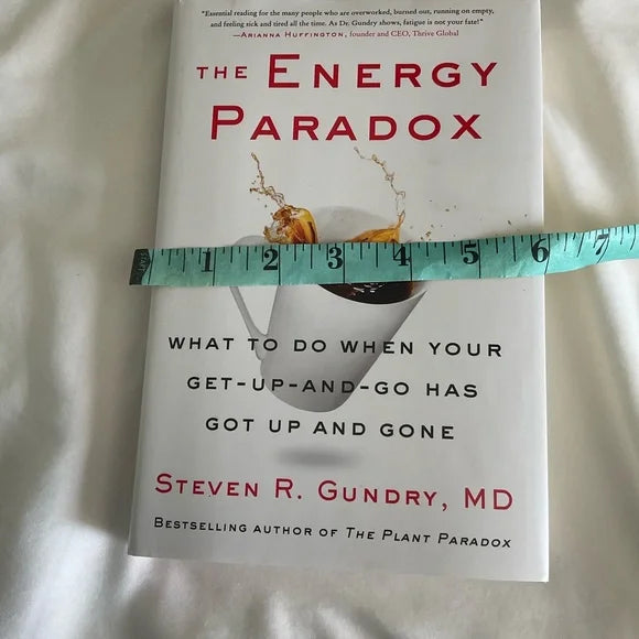 Energy Paradox Book