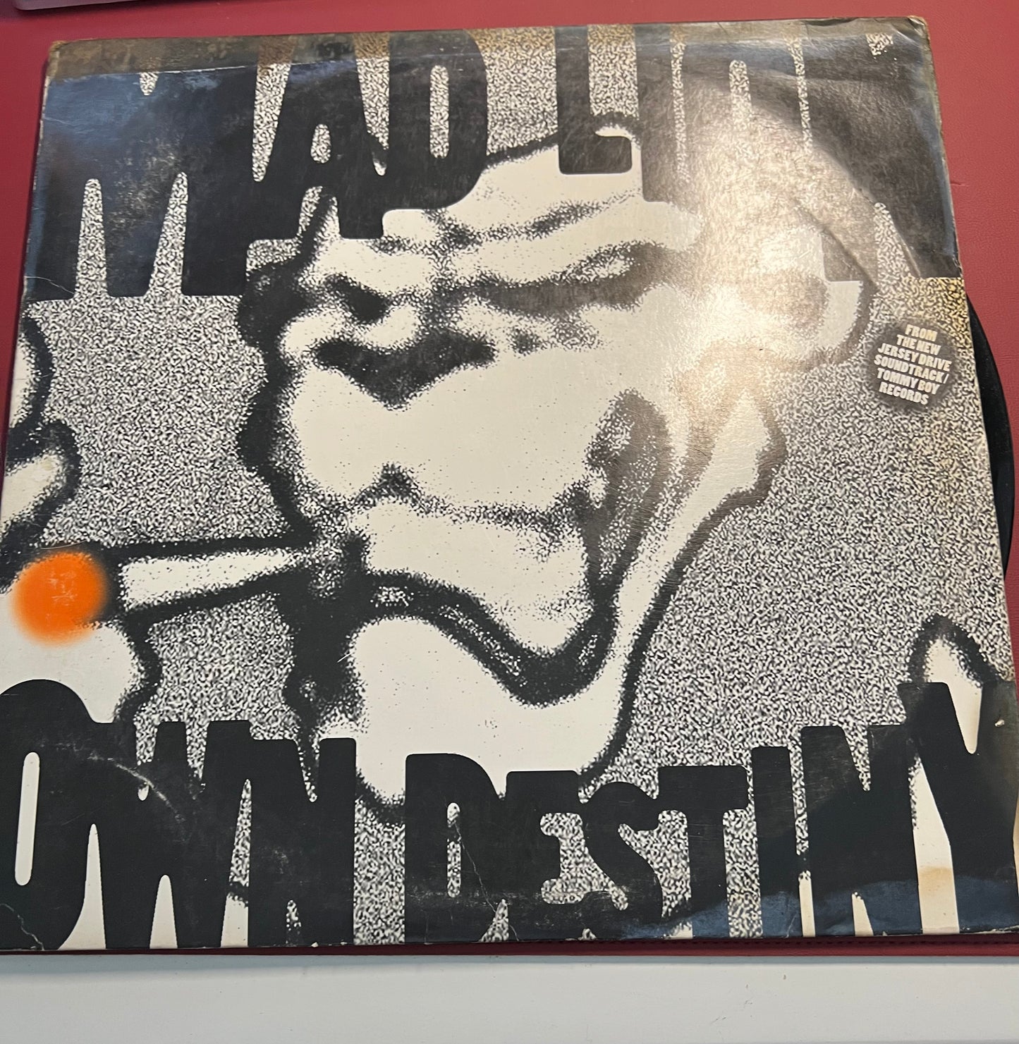 Mad Lion 12" Own Destiny 1995 Nervous Weeded