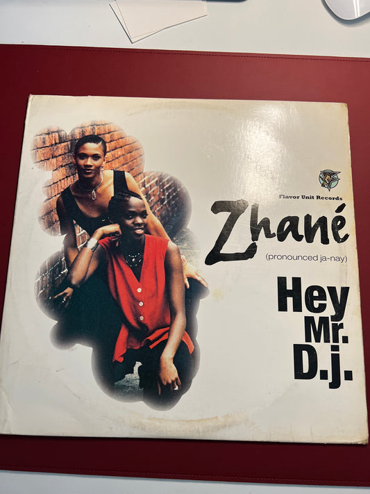 Zhané  Hey Mr. D.J.  Vinyl 12" Record  Vintage 1990's R&B Smash Hit