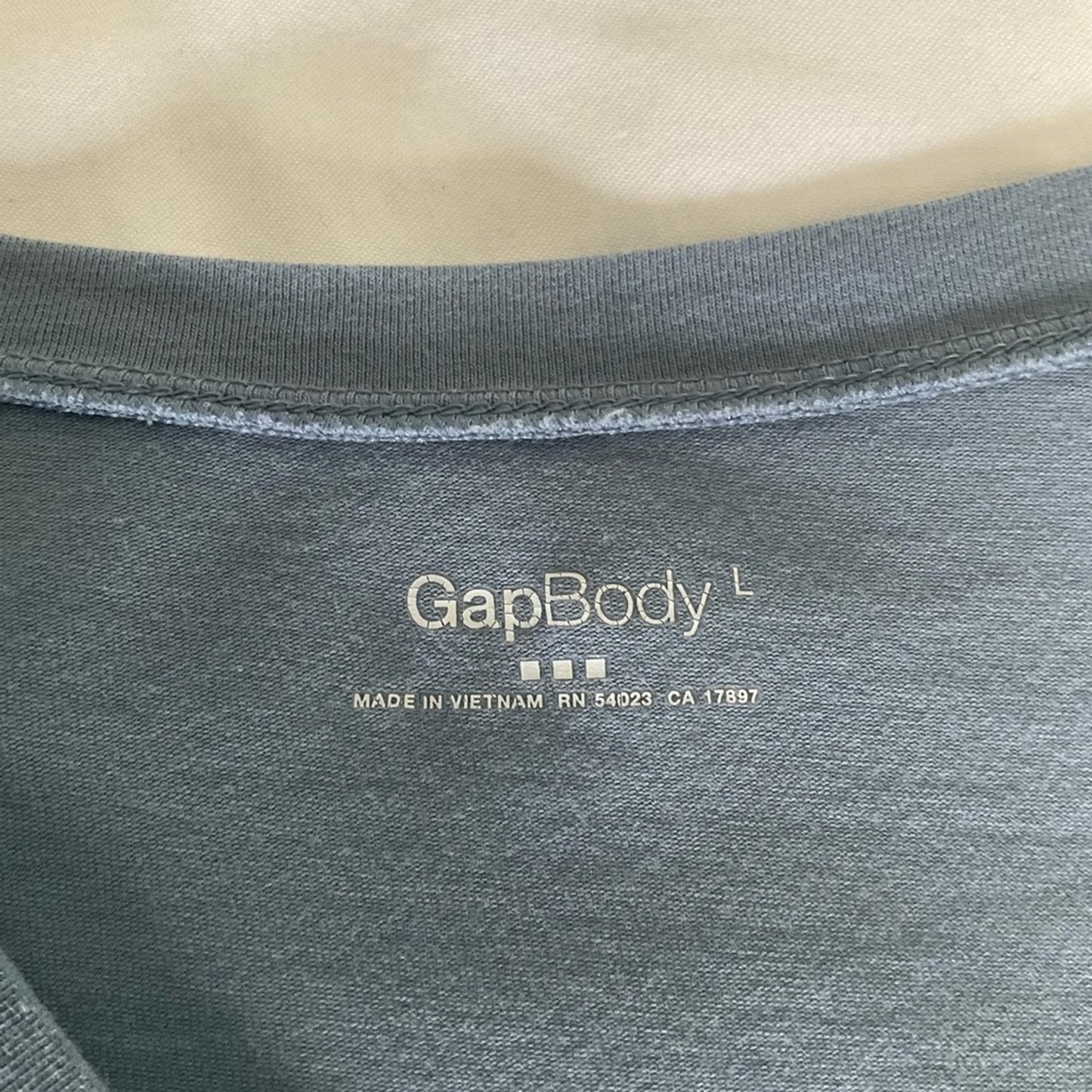GAP Women's Soft Blue Short Sleeve Tee