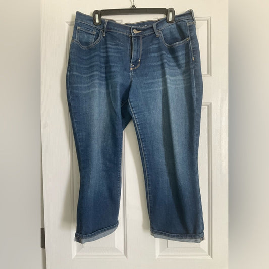 Old Navy Dark Blue Ankle Jeans