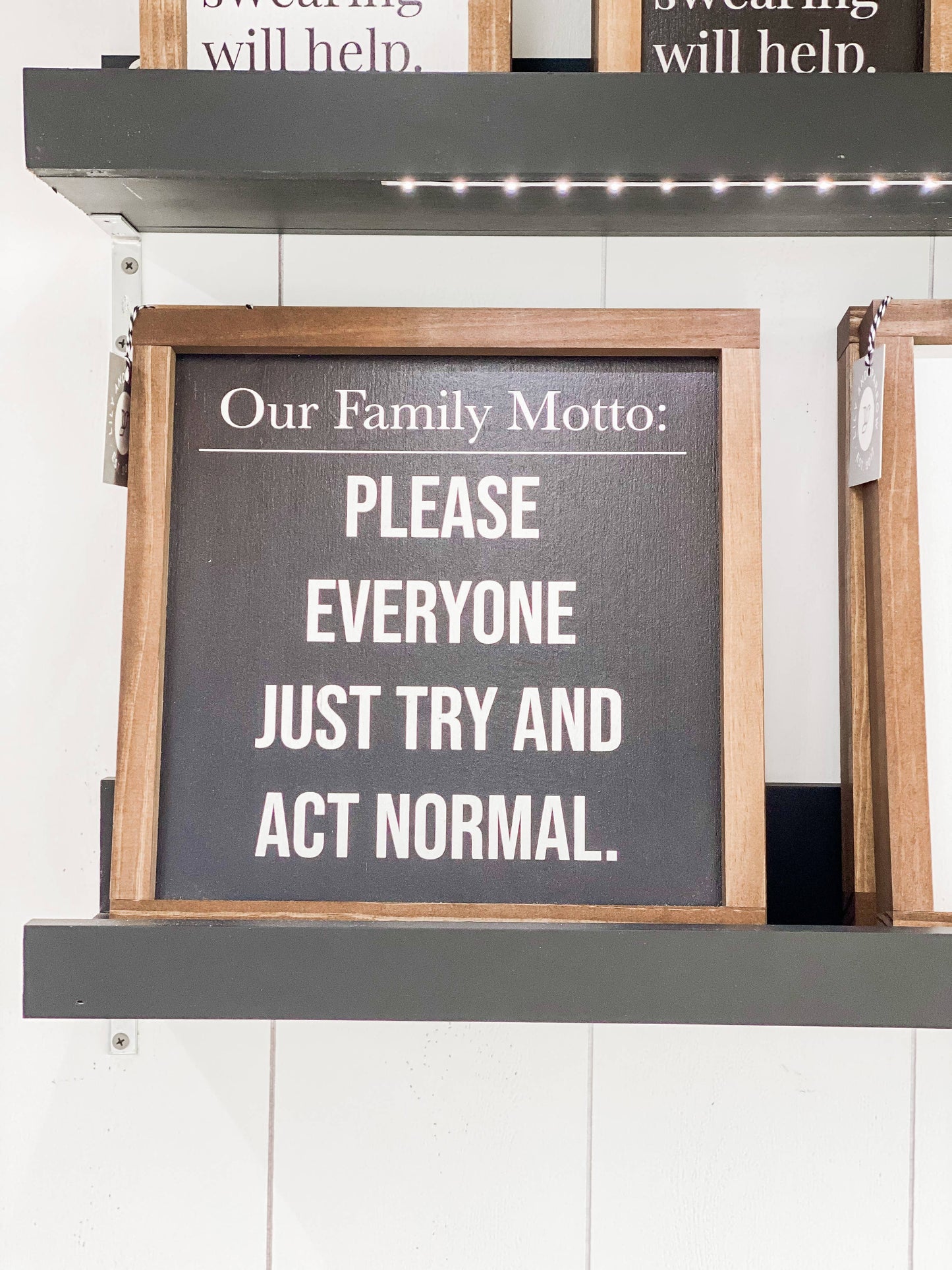 Lily and Sparrow - Our Family Motto: Please Everyone Just Try and Act Normal