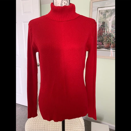 Cato Turtleneck sweater